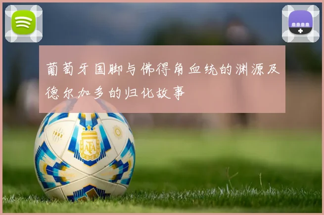 葡萄牙国脚与佛得角血统的渊源及德尔加多的归化故事